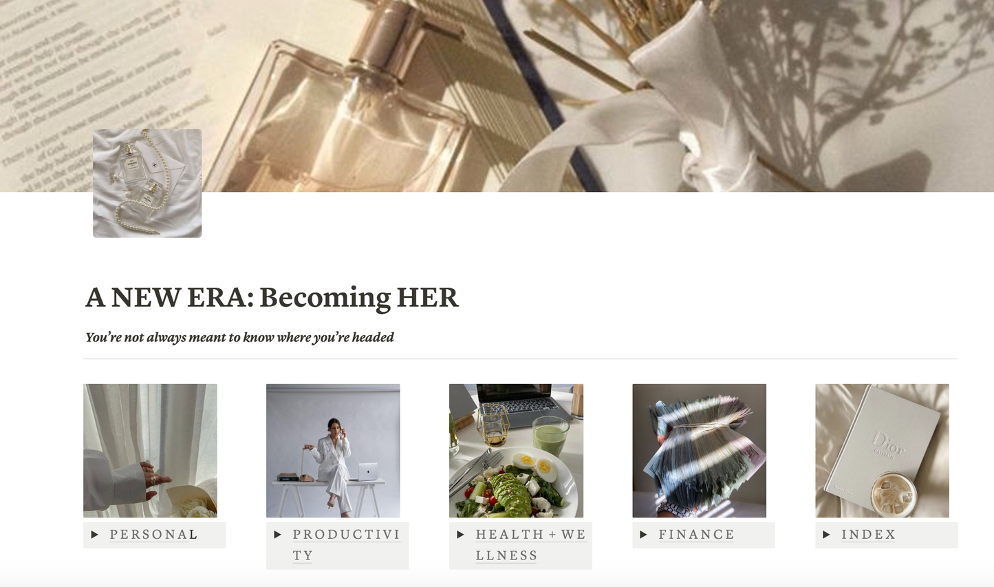 Life Planner Notion Template - PLR