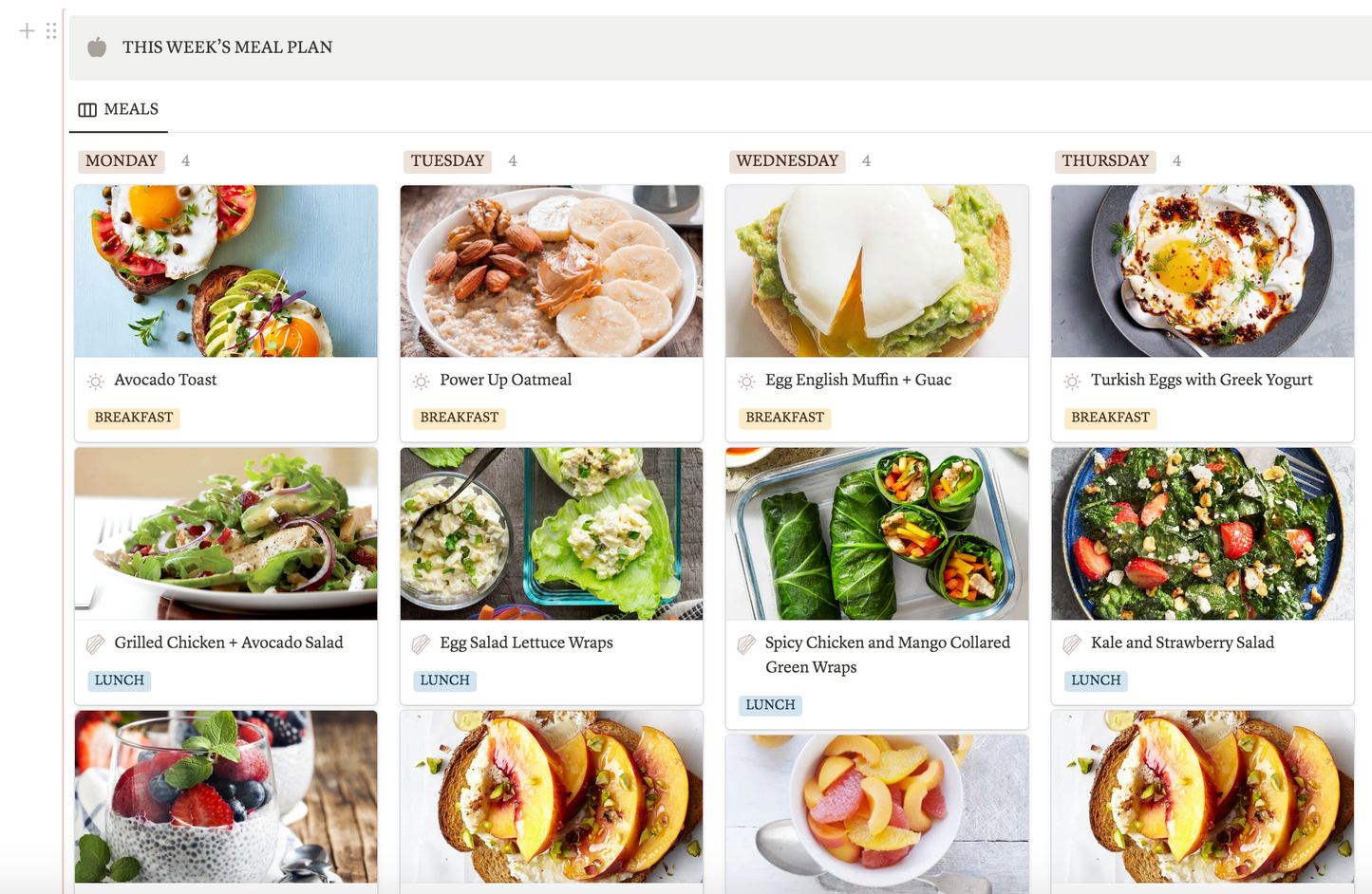 Life Planner Notion Template - PLR